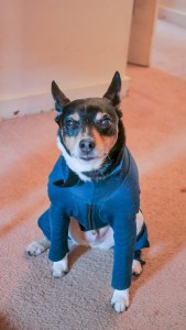 tmp_11515-ds31737005041